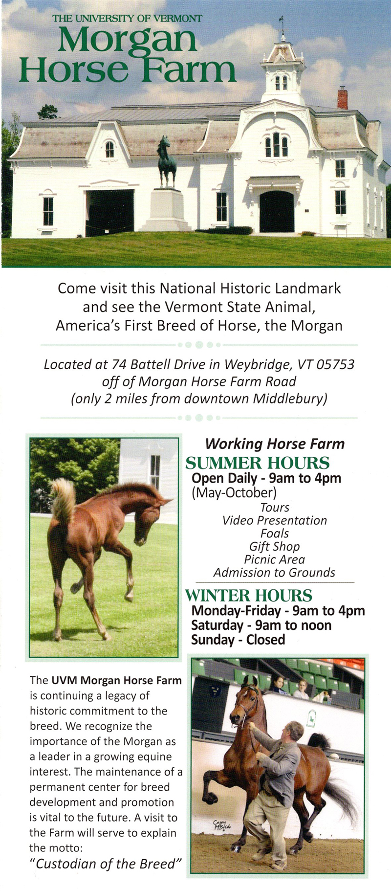 Morgan Horse Farm brochure thumbnail