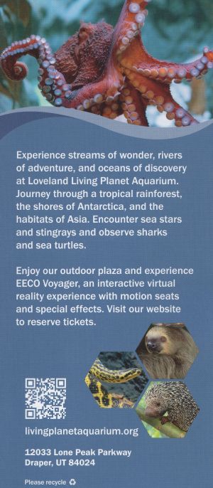 Living Planet Aquarium brochure thumbnail