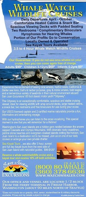 San Juan Excursions Whale Watch brochure thumbnail