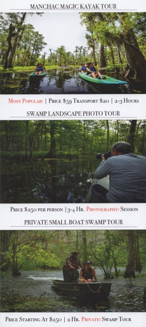 Wild Louisiana Tours brochure thumbnail