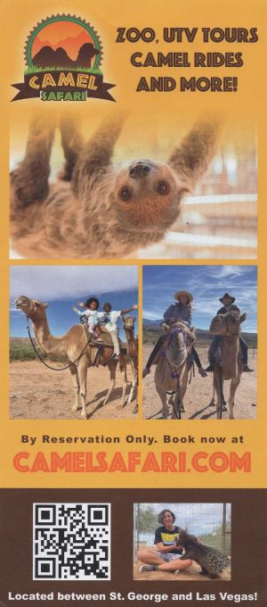 Camel Safari brochure thumbnail
