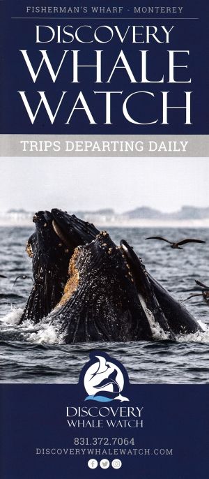 Discovery Whale Watch brochure thumbnail