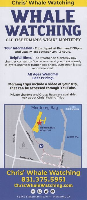 Chris' Whale Watching brochure thumbnail