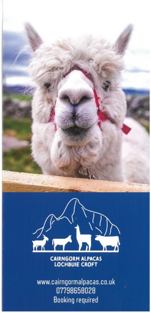 Cairngorm Alpacas brochure thumbnail
