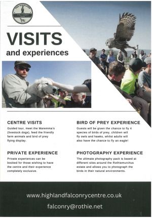 Highland Falconry Centre Rothiemurchus  brochure thumbnail