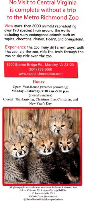 Metro Richmond Zoo brochure thumbnail
