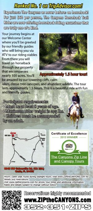 The Canyons Horseback and Zip Line Tours brochure thumbnail