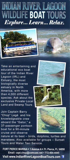 Indian River Lagoon Wildlife Boat Tours brochure thumbnail