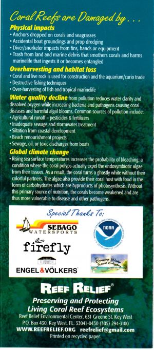 Reef Relief brochure thumbnail